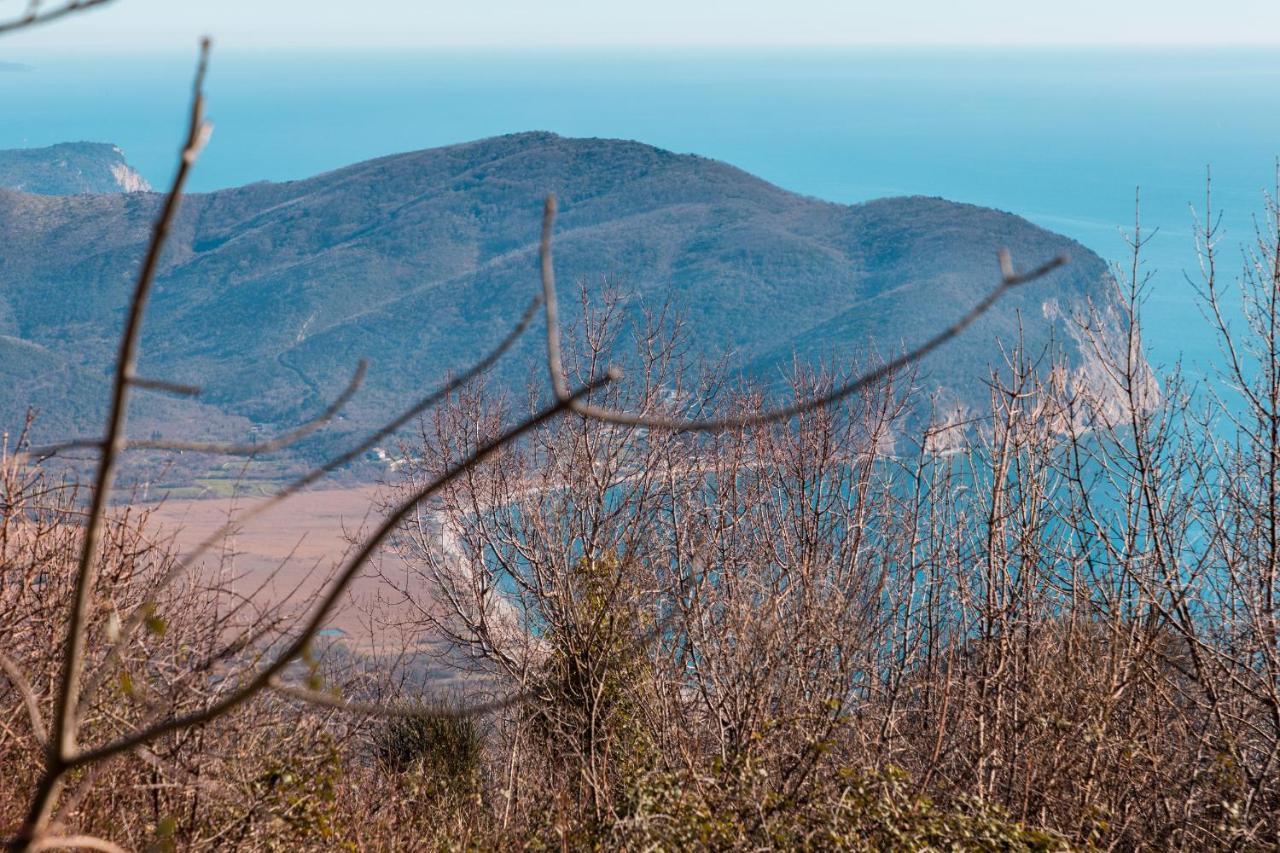Holiday Home Marija Budva Dış mekan fotoğraf
